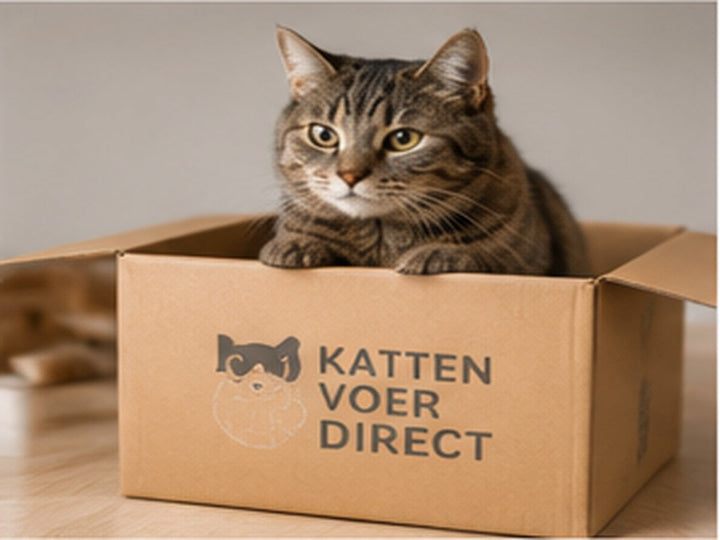 Kat zit in een verzenddoos van KattenVoerDirect