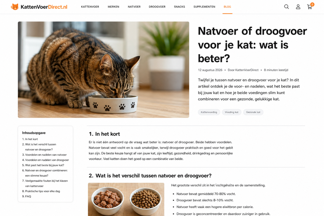 Kat bij een voerbak in huis als illustratie bij de vergelijking tussen natvoer en droogvoer