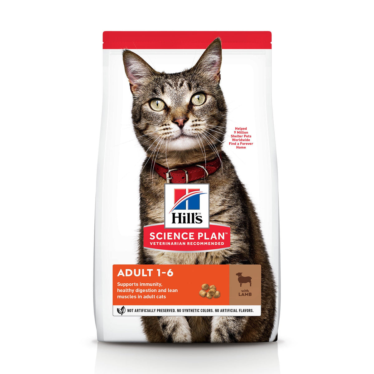 Hill's Science Plan Adult Lam droog kattenvoer 7 kg verpakking voorkant