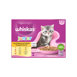 Whiskas junior gevogelte selectie 12x85gr – nat kattenvoer kitten in gelei