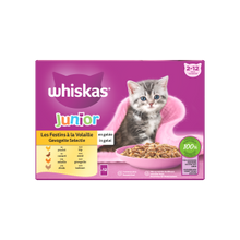 Whiskas junior gevogelte selectie 12x85gr – nat kattenvoer kitten in gelei