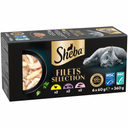 Sheba Filets Multipack 6x60gr – nat kattenvoer met kip, zalm, tonijn en garnalen in saus