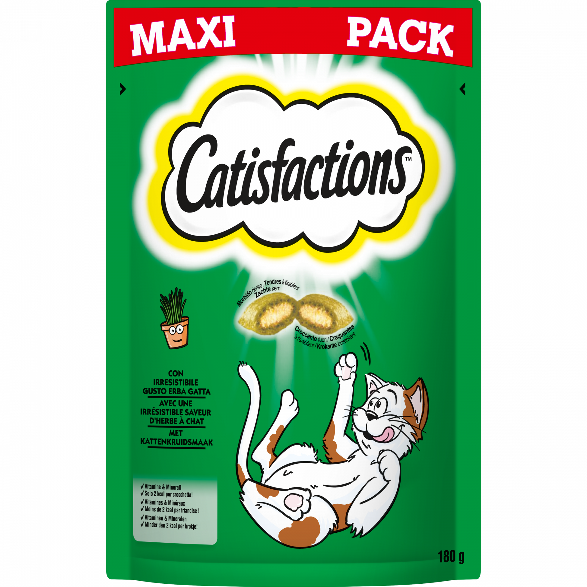 Catisfactions catnip 180gr – kattensnacks met kattenkruid