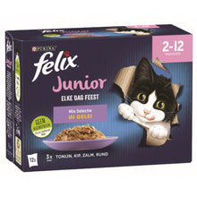 Felix Elke Dag Feest junior mix selectie in gelei 12x85gr kittenvoer