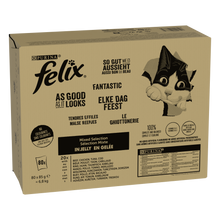 Felix Elke Dag Feest mix selectie in gelei 80x85gr kattenvoer