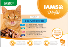 IAMS Delights Maaltijdzakje Adult Vis Selectie Gelei Multipack – Nat Kattenvoer – 12 x 85 g