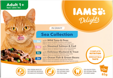 IAMS Delights Maaltijdzakje Adult Vis Selectie Saus Multipack – Nat Kattenvoer – 12 x 85 g