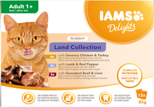 IAMS Delights Maaltijdzakje Adult Vlees Selectie Saus Multipack – Nat Kattenvoer – 12 x 85 g