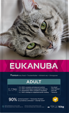 Eukanuba Adult Kip – Droog Kattenvoer – 10 kg