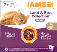 IAMS Delights Maaltijdzakje Senior Vlees & Vis Saus Multipack – Nat Kattenvoer – 8 x 85 g