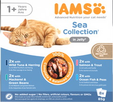 IAMS Delights Maaltijdzakje Adult Vis Gelei Multipack – Nat Kattenvoer – 8 x 85 g