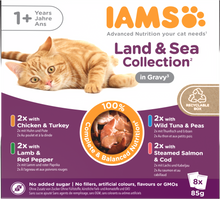 IAMS Delights Maaltijdzakje Adult Vlees & Vis Saus Multipack – Nat Kattenvoer – 8 x 85 g