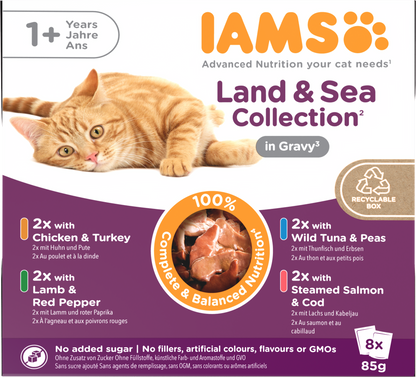 IAMS Delights Maaltijdzakje Adult Vlees & Vis Saus Multipack – Nat Kattenvoer – 8 x 85 g