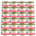 Almo Nature HFC Jelly Zalm & Kip – 24 × 70 g – 24 blikjes op witte achtergrond
