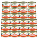 Almo Nature HFC Natural Kip & Pompoen – 24 × 70 g – 24 blikjes op witte achtergrond