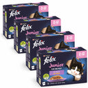 Felix Elke Dag Feest Junior Mix in Gelei 48 × 85 g – 4 doosjes op witte achtergrond