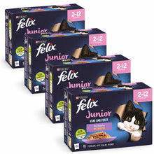 Felix Elke Dag Feest Junior Mix in Gelei 48 × 85 g – 4 doosjes op witte achtergrond