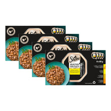 Sheba Mini Filets Gevogelte Selectie in Saus, 4 verpakkingen, samen 32 porties van 85 gram