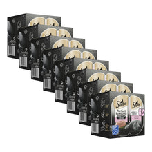 Sheba Perfect Portions Paté Zalm, 8 verpakkingen, samen 48 porties van 37,5 gram