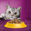 Whiskas 1+ Droog Kattenvoer Kip verpakking